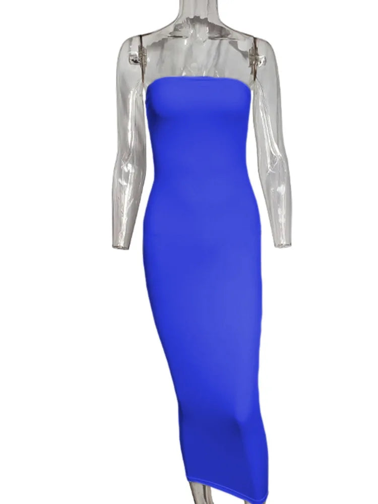 Elegant Tube Maxi Dress